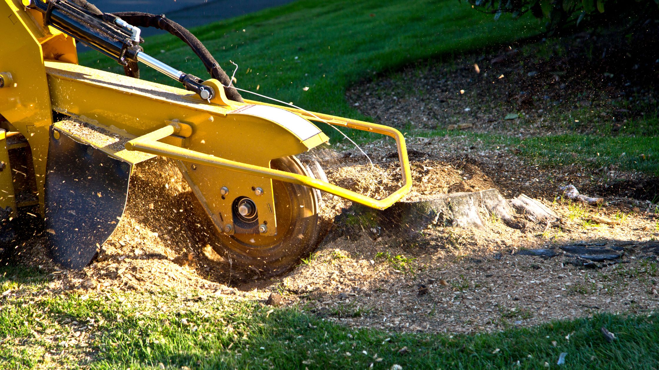 Why You Should Hire One Company For Both Tree Removal And Stump Grinding